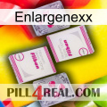 Enlargenexx 33